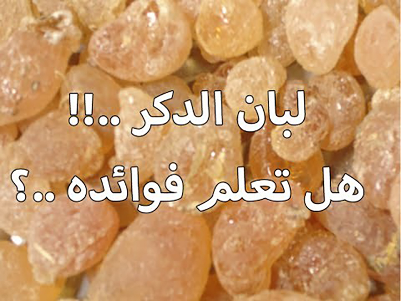 ماهي فوائد لبان الذكر؟