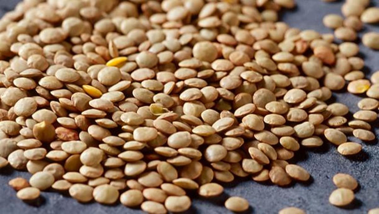 تعرف 4 فوائد صحية رائعة للعدس تجعلك تتناوله يومياً The lentil