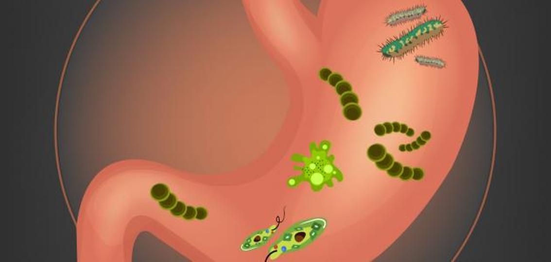 تعرف على جرثومة هليكوباكتر بيلوري الخطر الذي يهدد المعدة في صمت Helicobacter Pylori