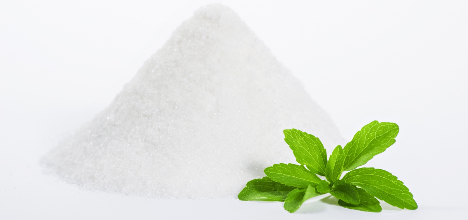 تعرف على عشبة الـ “ستيفيا” بديل طبيعي للسكر منافعه وأضراره stevia sugar