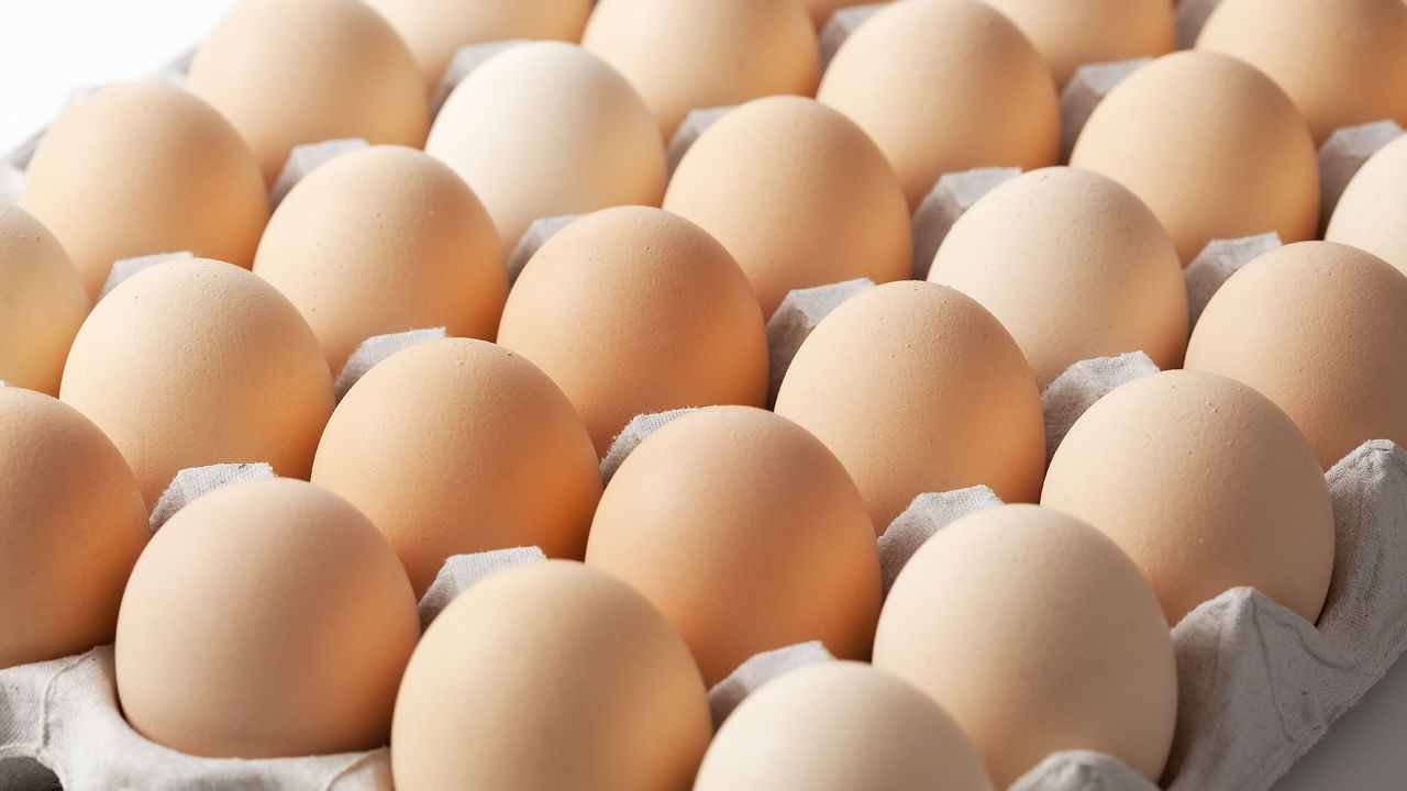 تعرف كيف تحافظ على البيض طازج وصحي لأطول مدة Fresh eggs