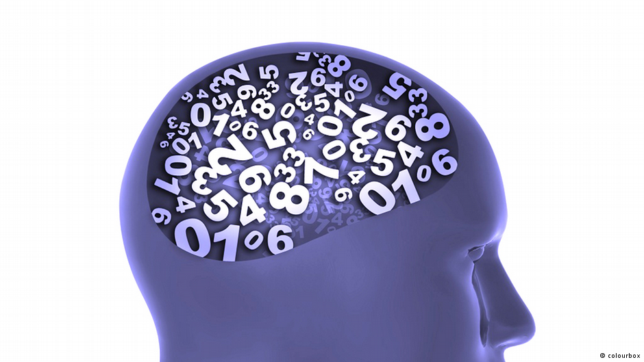 هل يتوقف الذكاء على حجم المخ؟