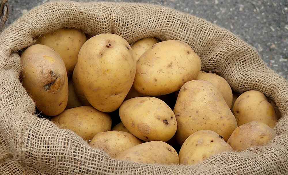 ماهي فوائد البطاطا؟