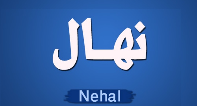 معنى اسم نهال وصفات حاملة اسم نهال Nihal