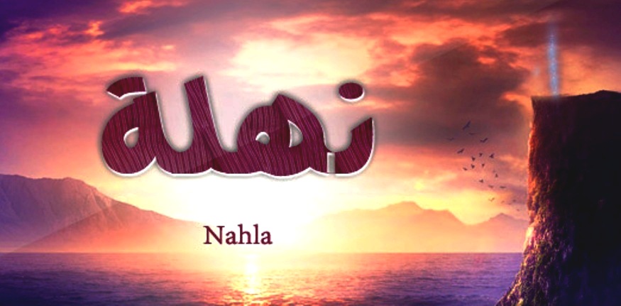 معنى اسم نهلة وصفات حاملة اسم نهلة Nahla