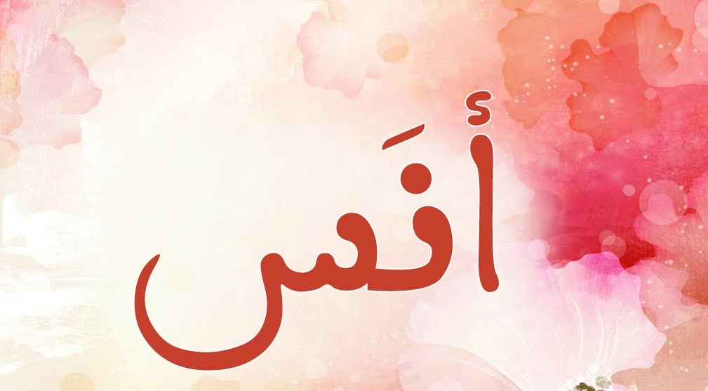 معنى اسم ” أنس” وصفات حامل الاسم Anas